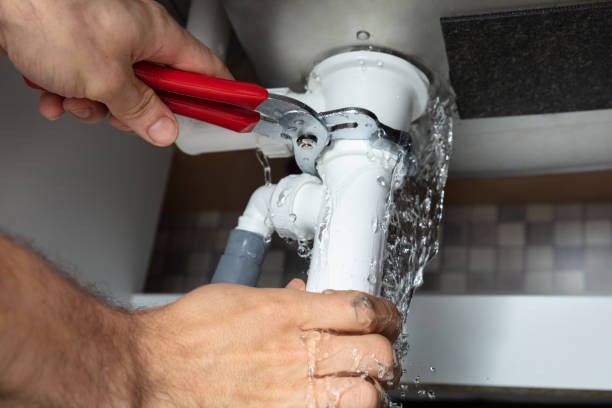 Best Water damage mitigation services  in Craig Beach, OH