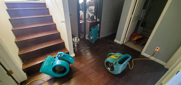 Best Local water damage restoration  in Craig Beach, OH