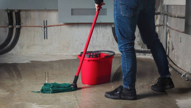 Best Sewage cleanup and water damage restoration  in Craig Beach, OH