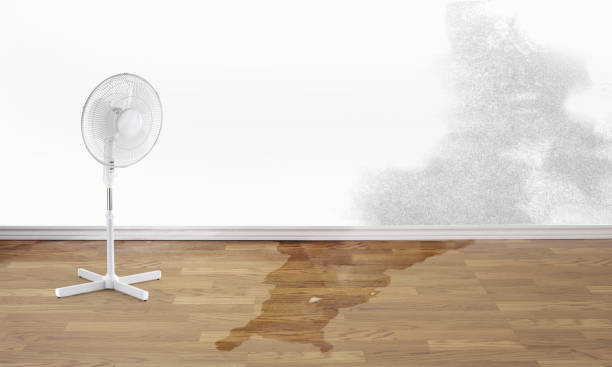 Best 24/7 water damage repair  in Craig Beach, OH