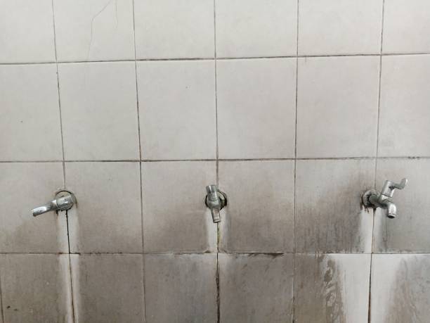Best Sewage cleanup and water damage restoration  in Craig Beach, OH