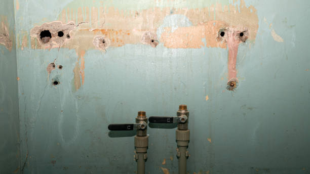 Best Professional water damage repair  in Craig Beach, OH