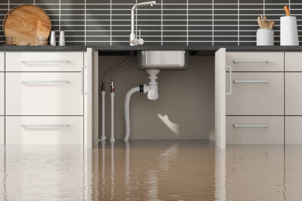 Best 24-hour water damage restoration  in Craig Beach, OH