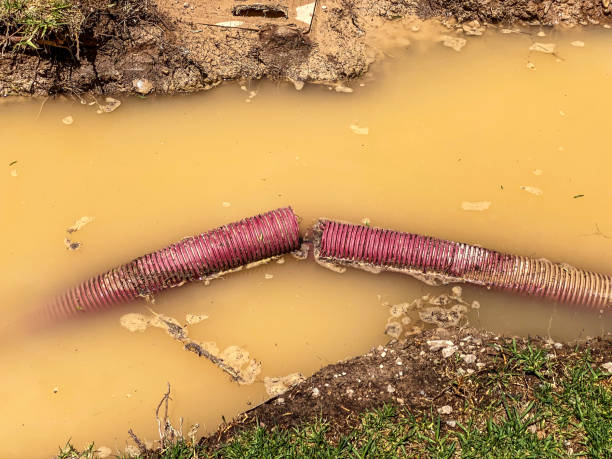 Best Water damage restoration near me  in Craig Beach, OH